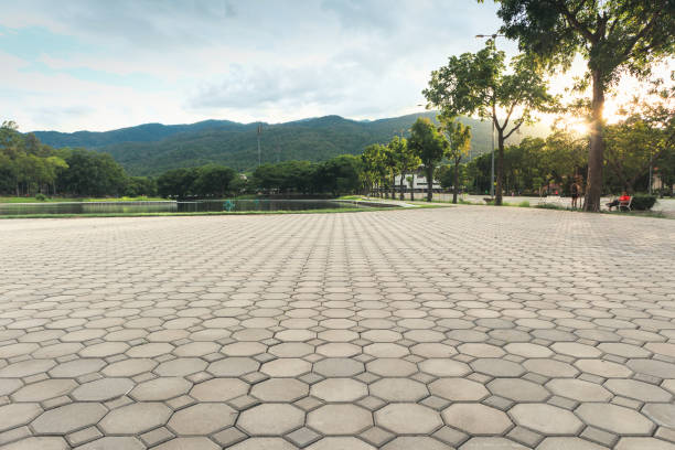 Best Concrete Paver Driveway  in Missouri Valley, IA